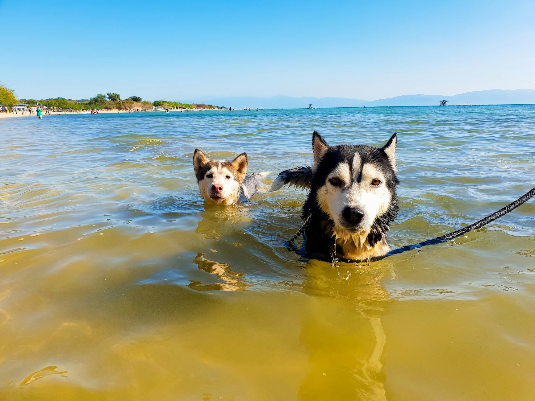 Governments Want to Know How Old You Are Online. The Way They're Doing It Should Worry You.