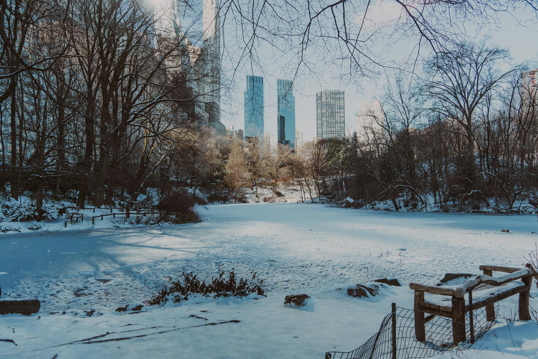 Snow-covered Central Park with New York City skyscrapers in the background during winter.
