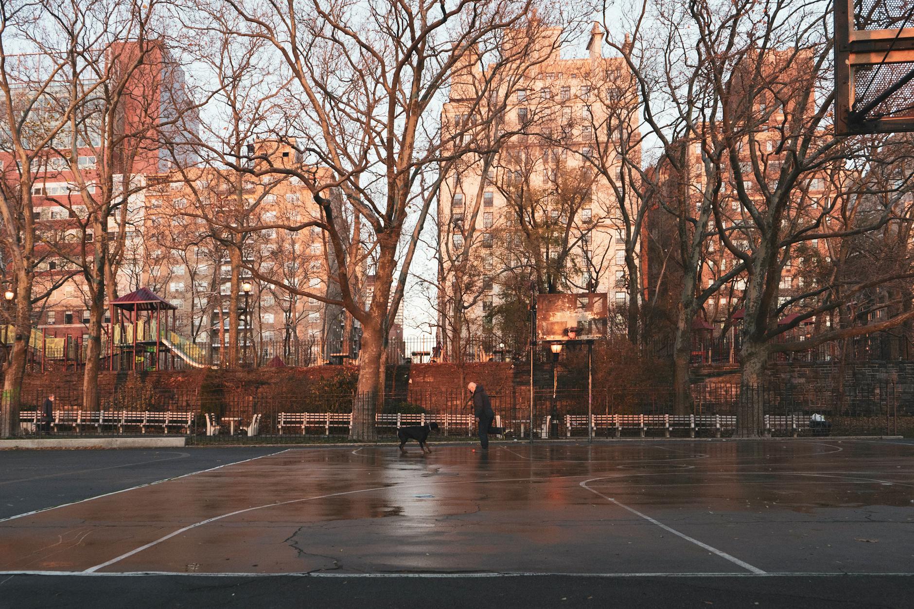 A wet basketball court amid leafless trees in New York City's winter setting.